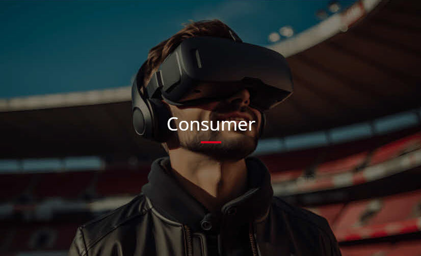 consumer consumer
